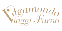 NCC Torino Partner Viaggi Furno